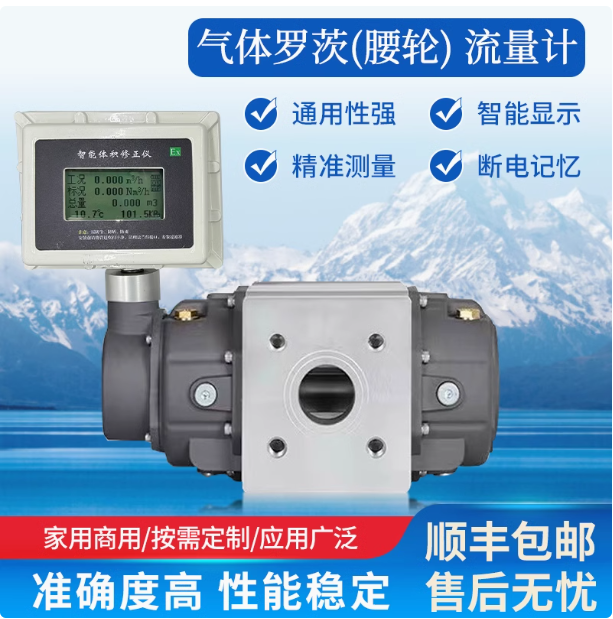 LLQ-32氣體羅茨腰輪流量計